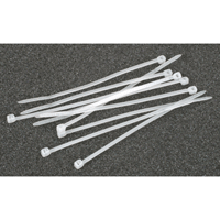 (image for) Nylon Strap S